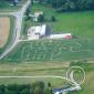 Corn Maze 2