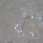 P1100175