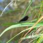 P1100405